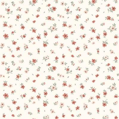 Cotton Jersey Printed