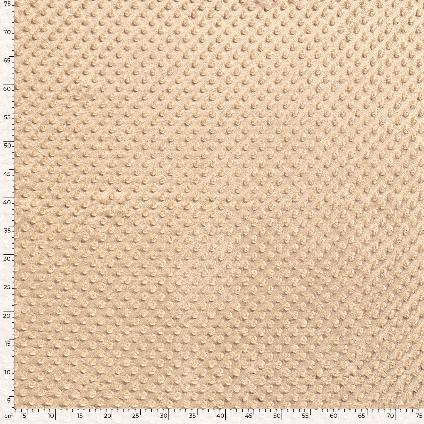 Minky Fabric Camel