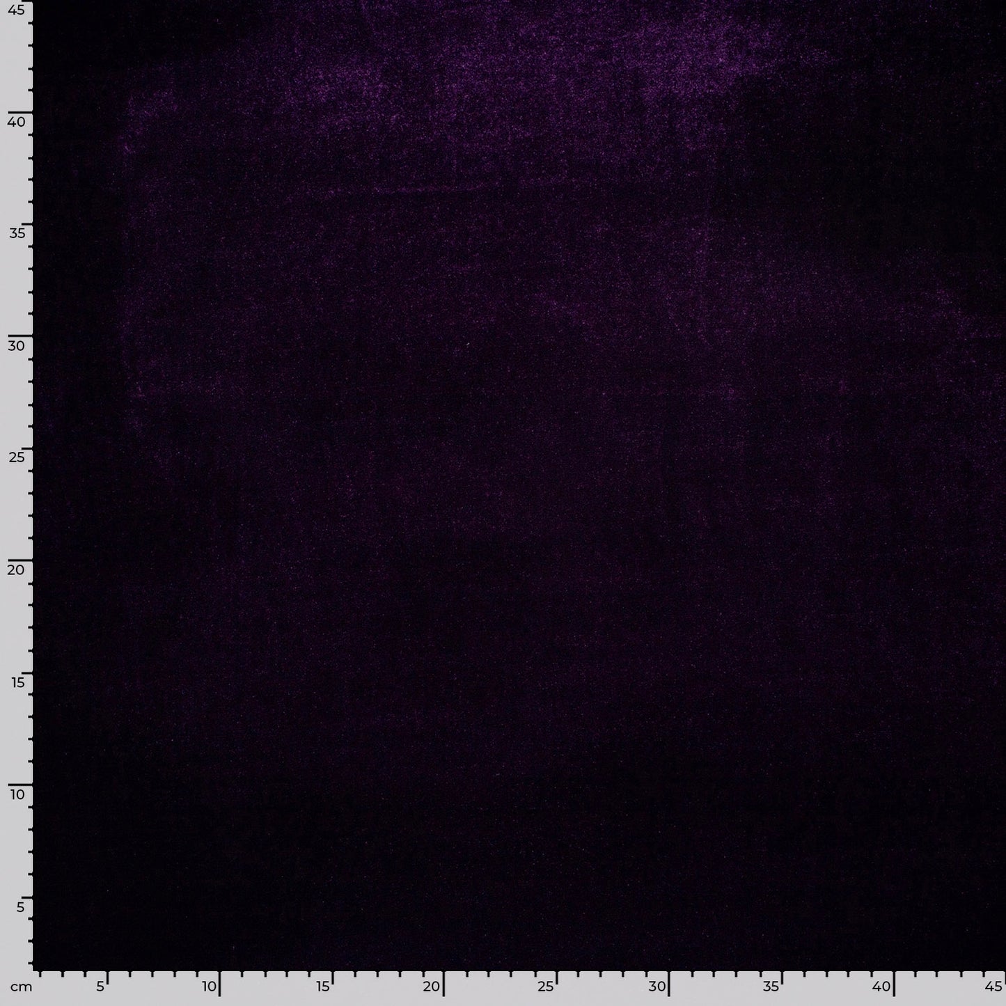 Catifea Elastica Violet