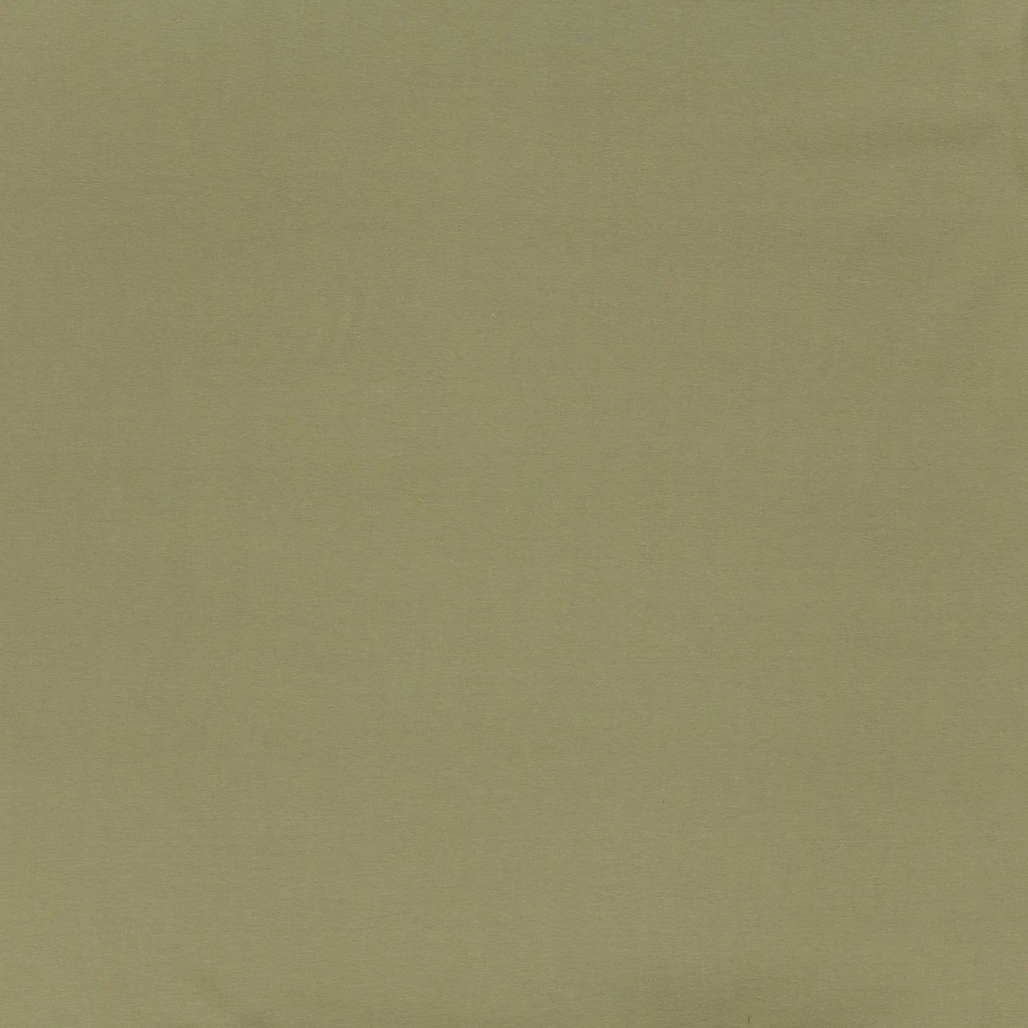 Cotton Jersey Olive Green