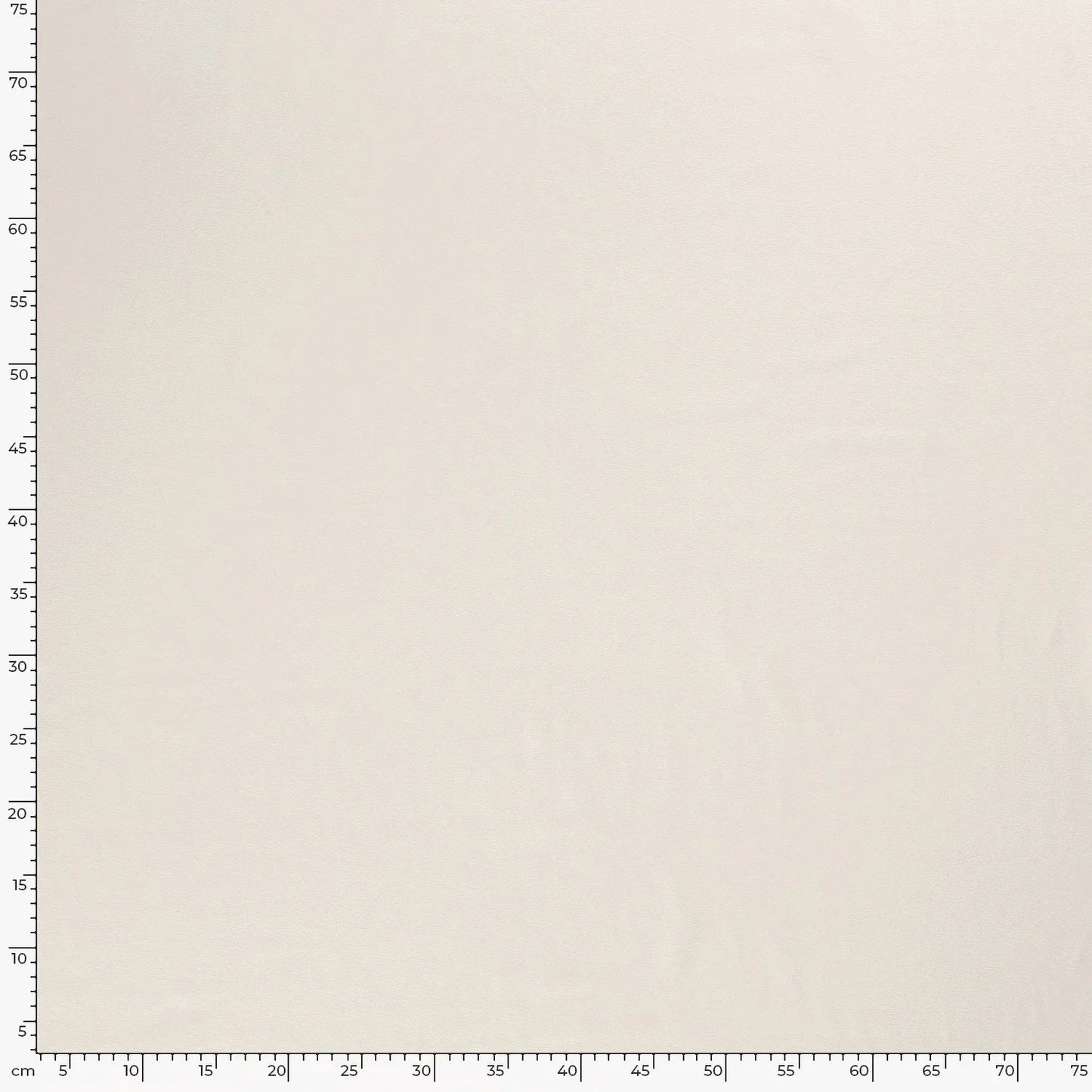 Cotton Jersey Off White