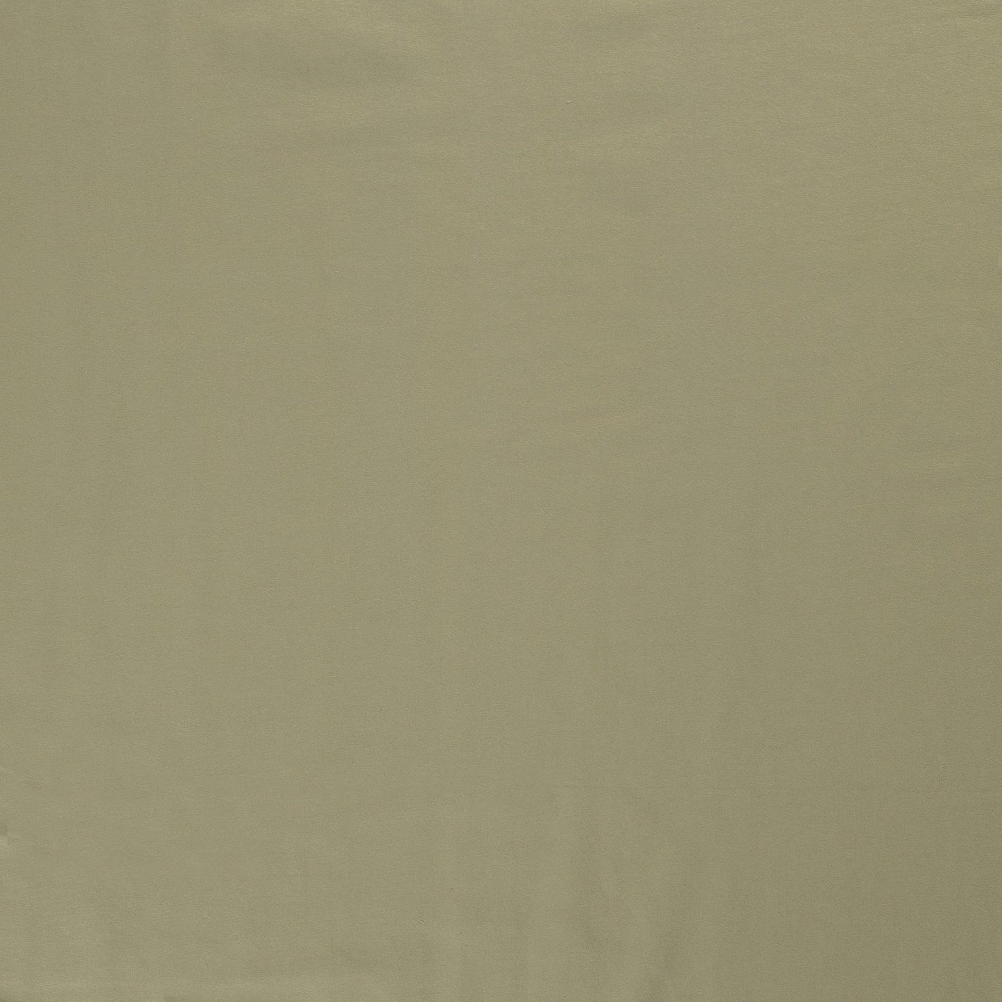 French Terry Olive Green