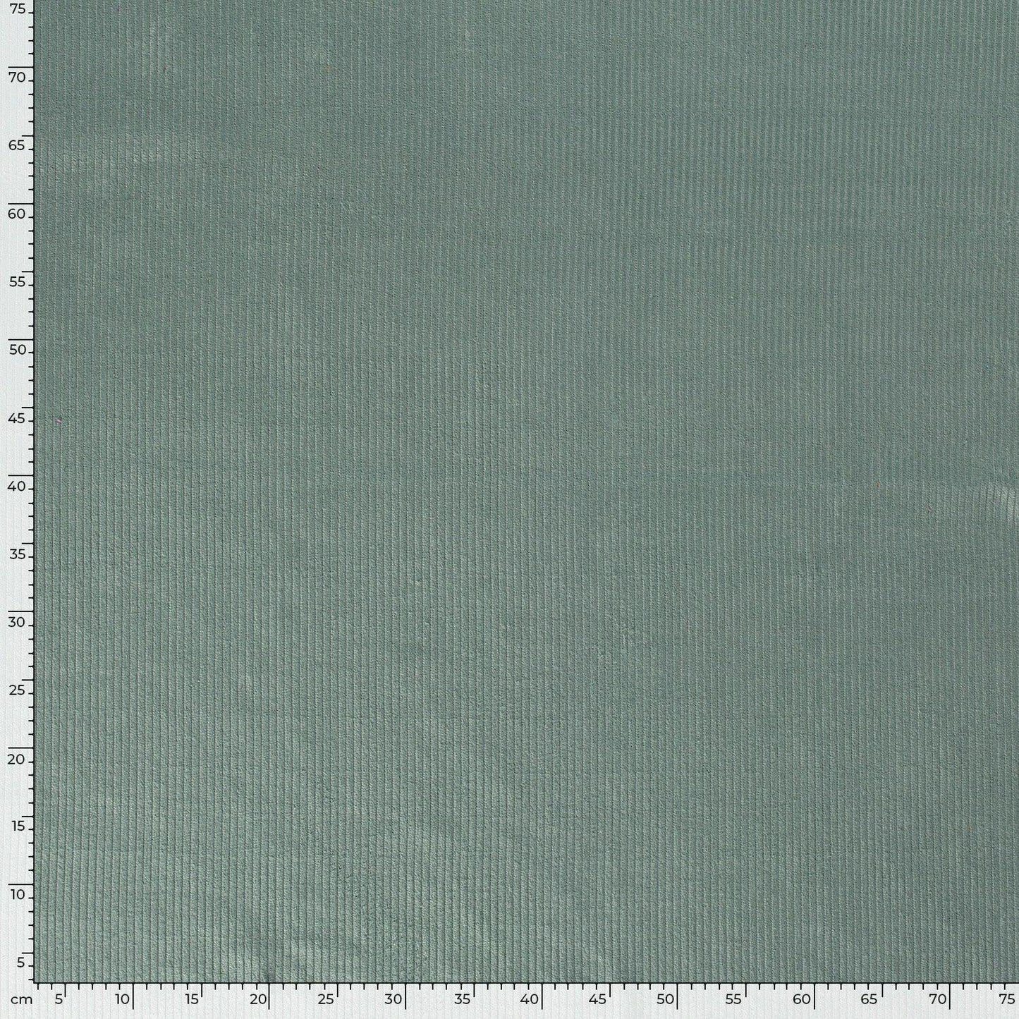 Cotton Corduroy 4.5w Dark Mint