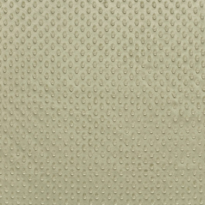 Minky Fabric Olive Green