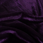 Catifea Elastica Violet
