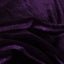 Catifea Elastica Violet