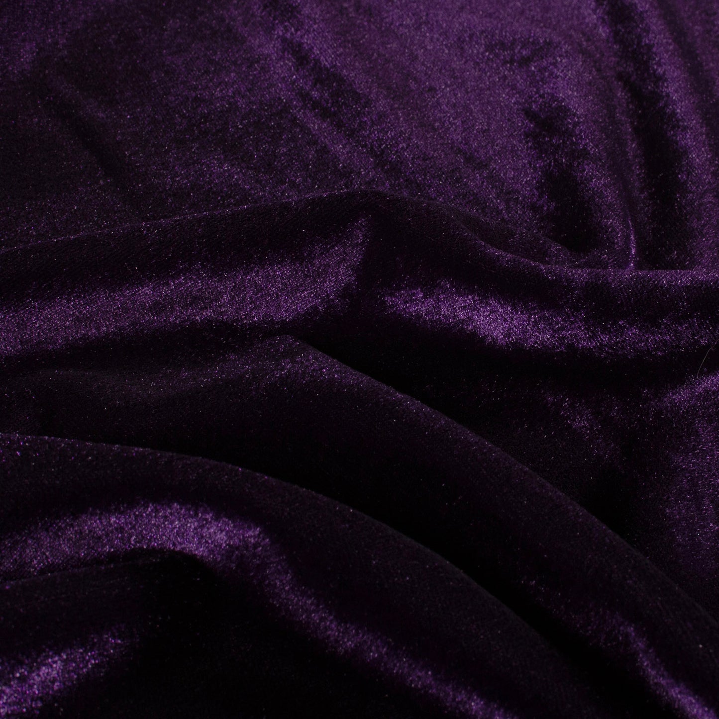 Catifea Elastica Violet