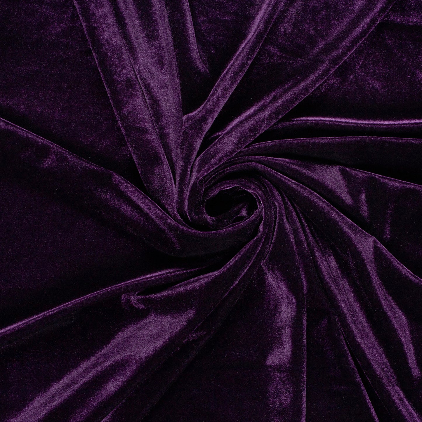 Catifea Elastica Violet