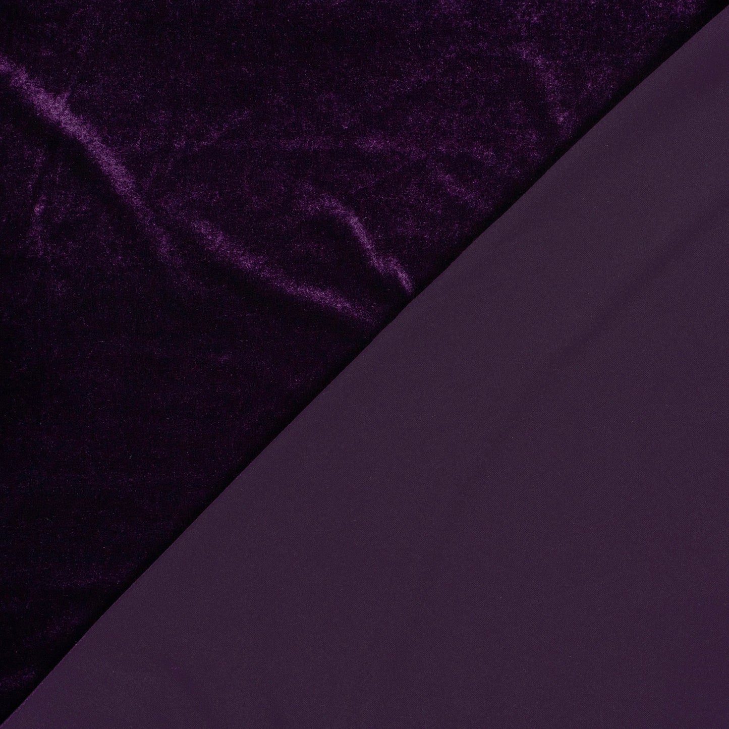 Catifea Elastica Violet