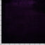 Catifea Elastica Violet
