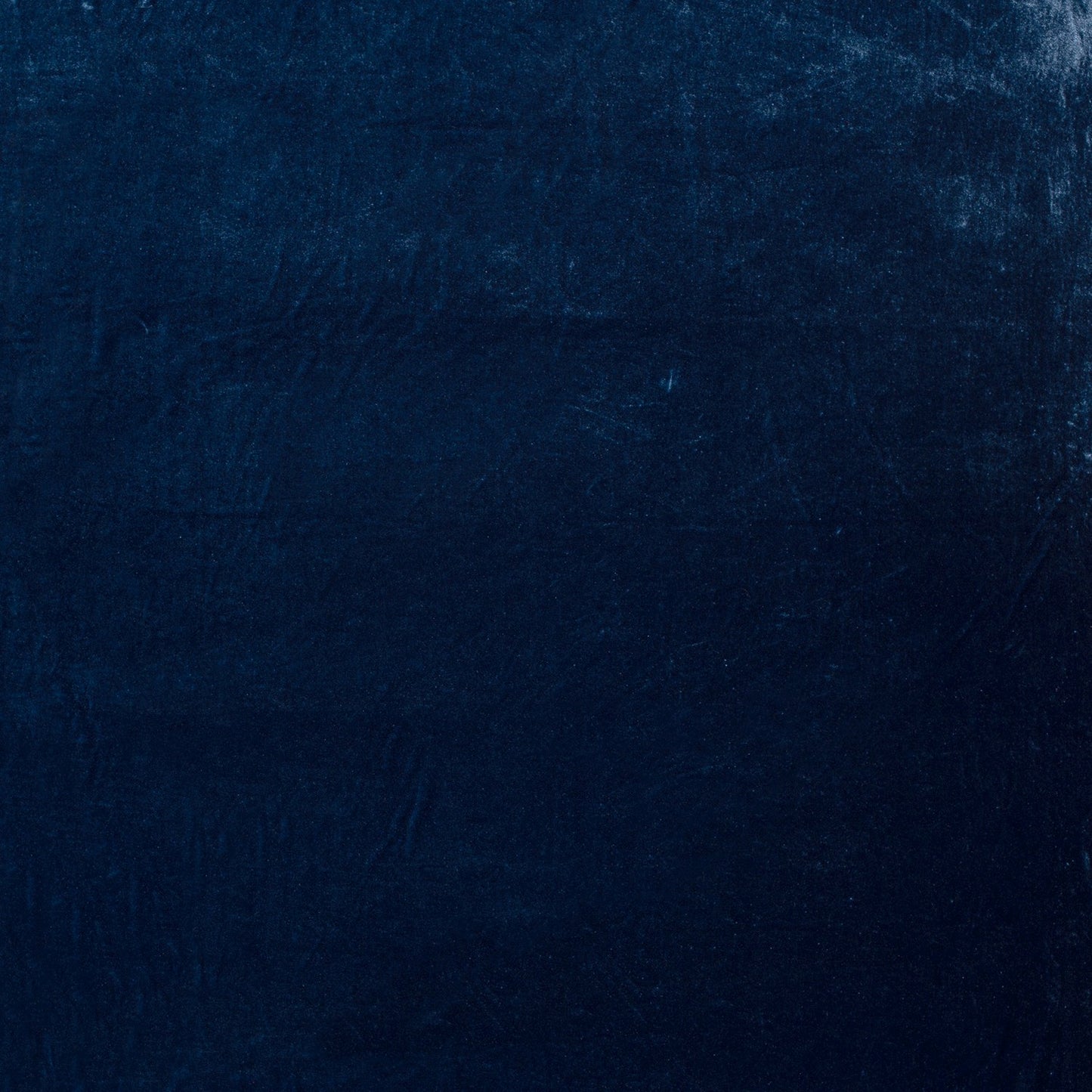 Catifea Elastica Indigo
