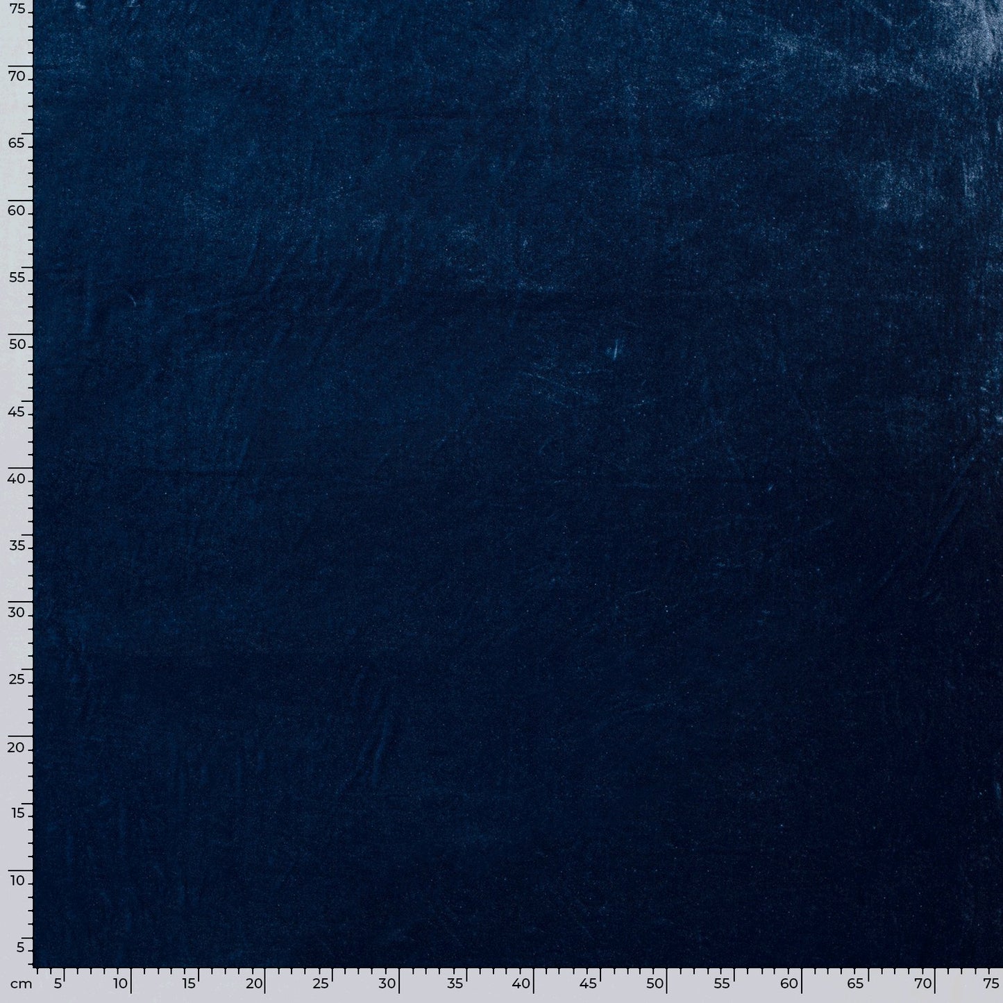 Catifea Elastica Indigo