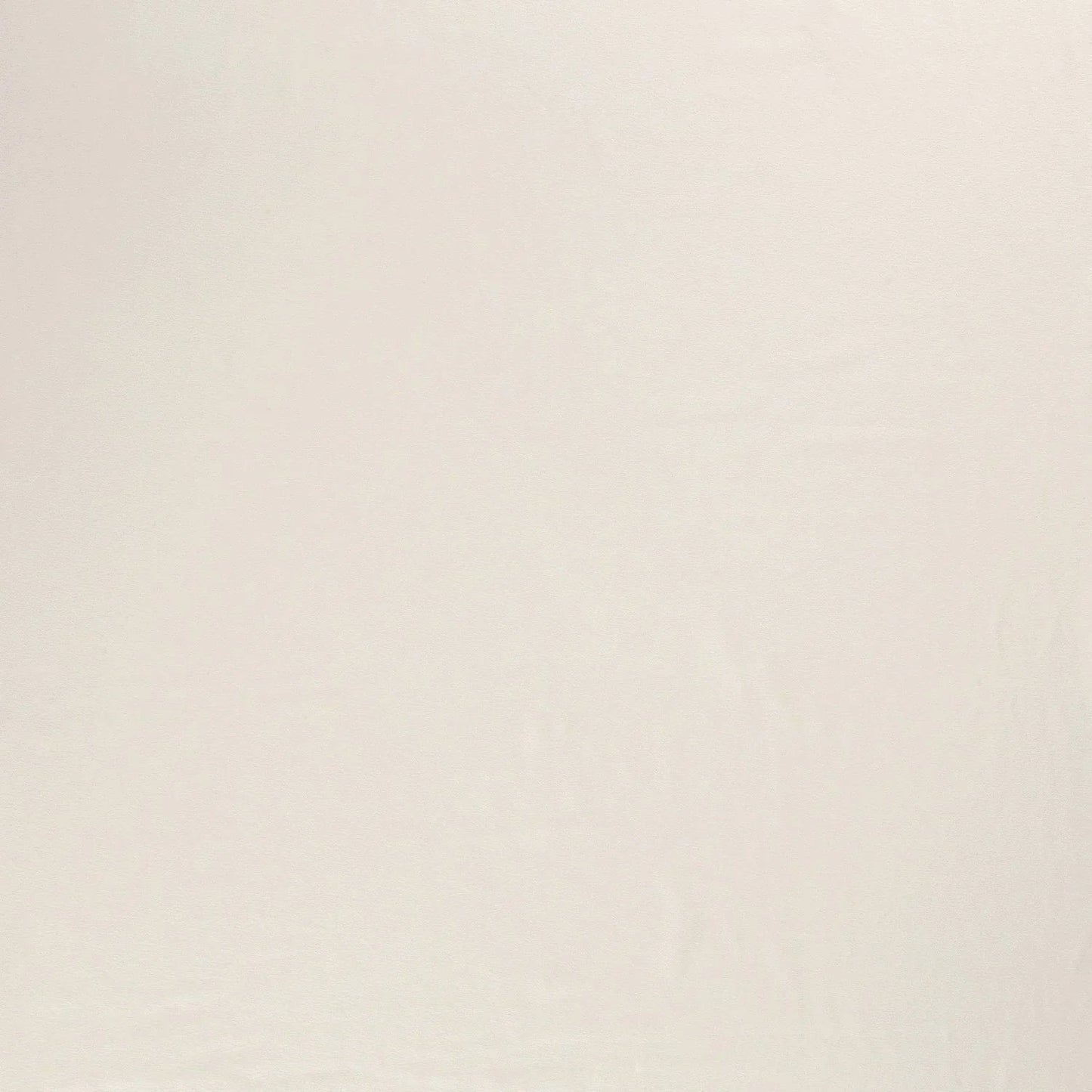 Cotton Jersey Off White