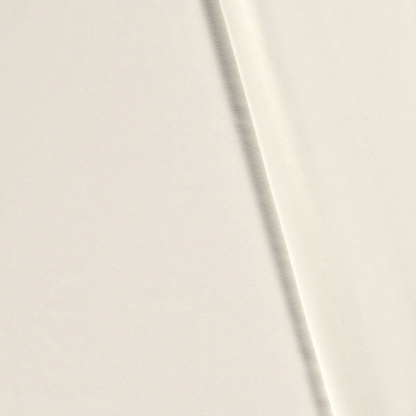 Cotton Jersey Off White