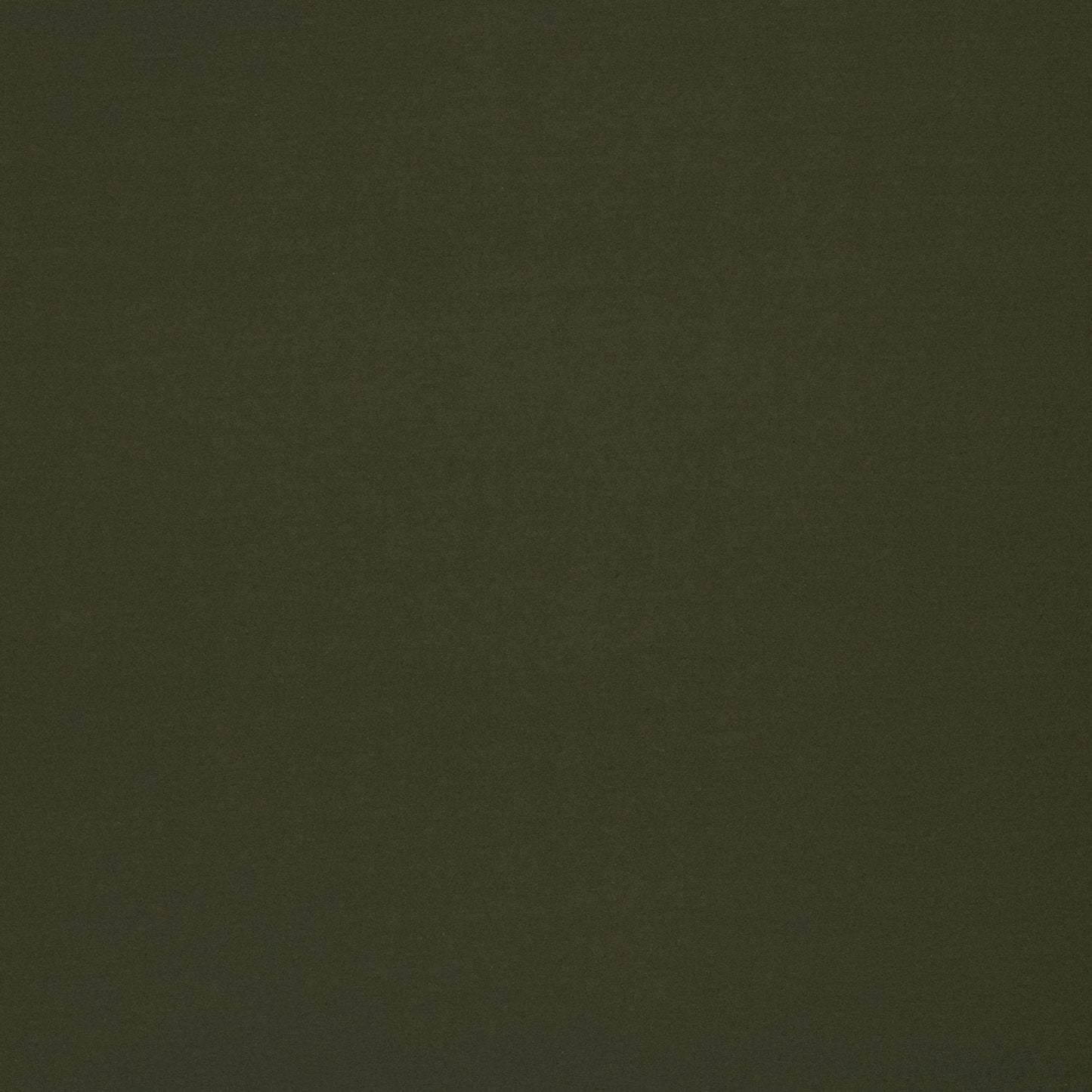 French Terry Khaki Green