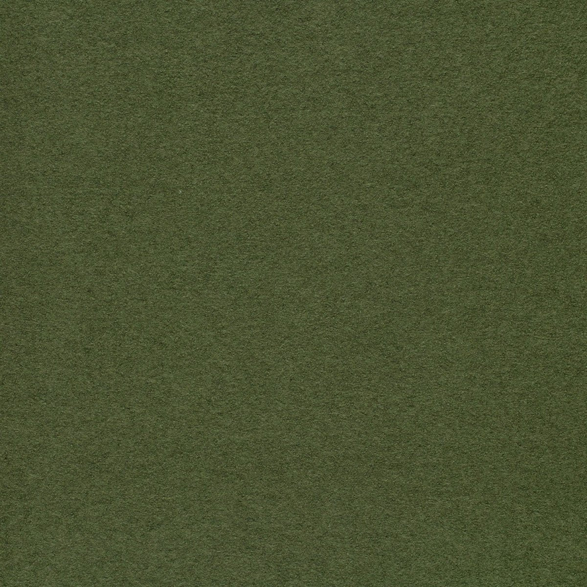 Boiled Wool Light Olive Green - Lametru.ro