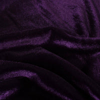 Catifea Elastica Violet
