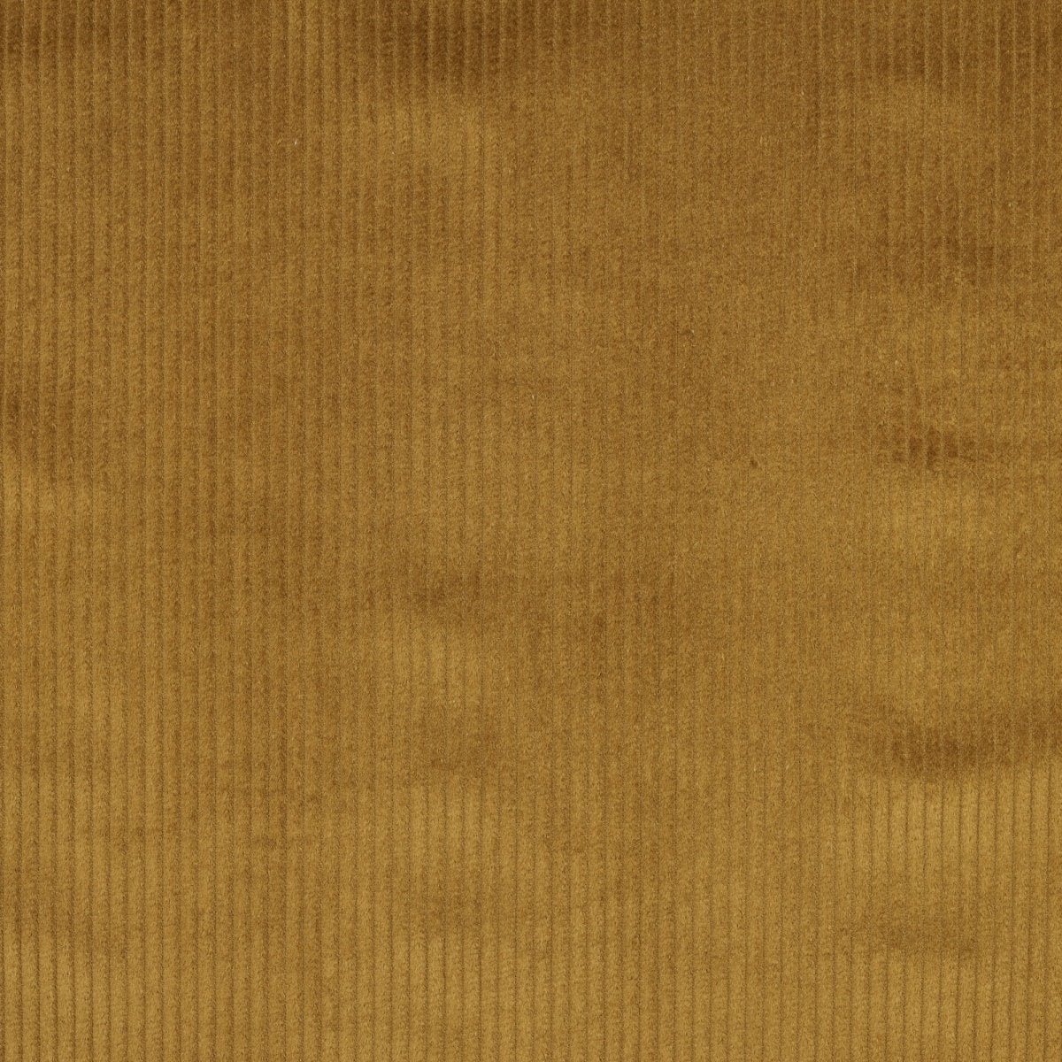 Catifea Reiată Din Bumbac 4.5W Olive - Lametru.ro - Bumbac Reiat Gros 4.5w
