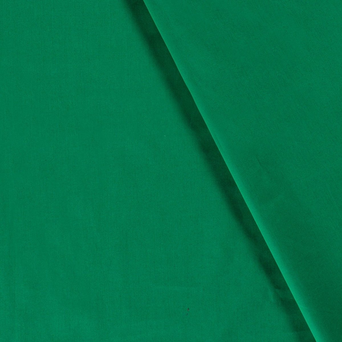 Cotton Poplin Forest Green - Lametru.ro