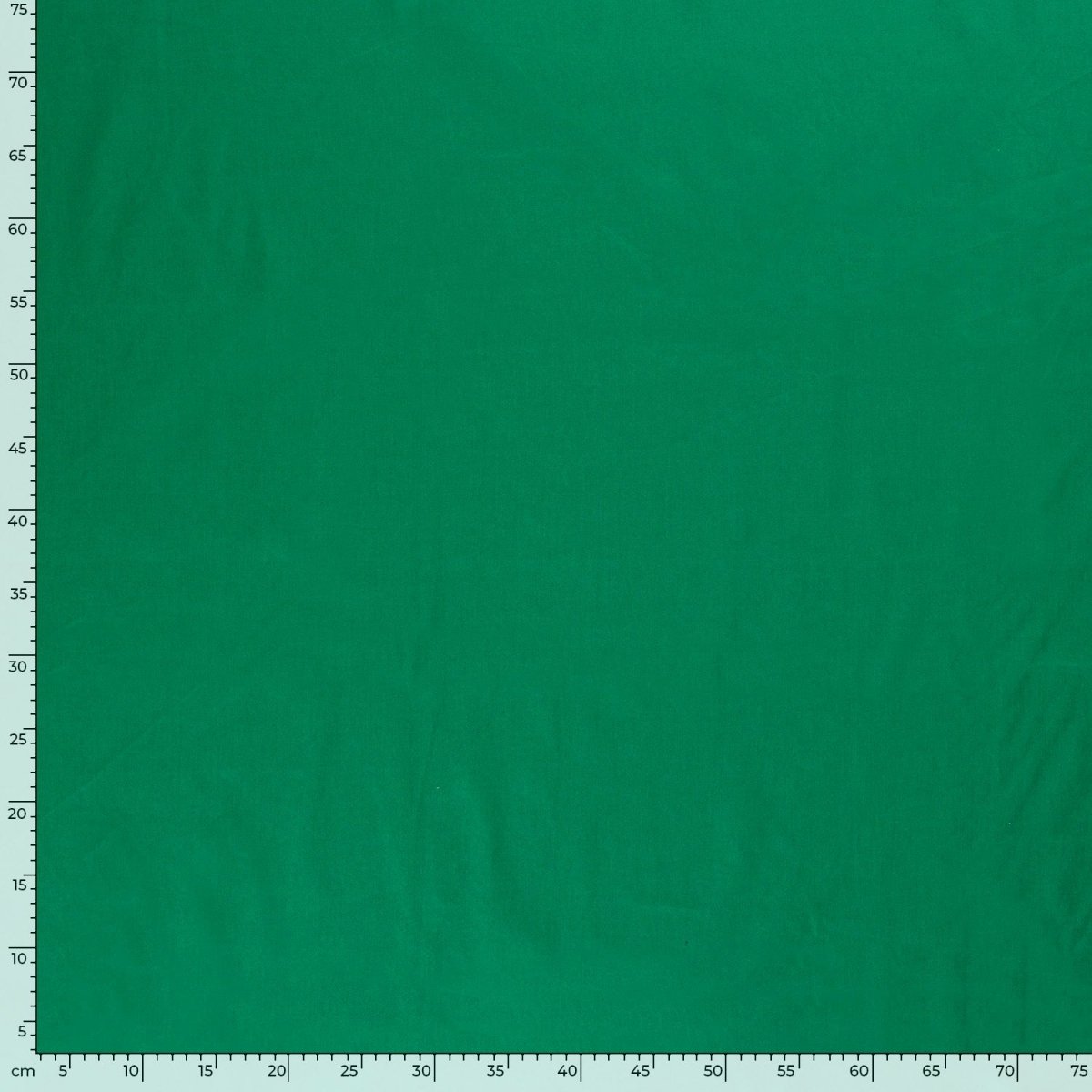 Cotton Poplin Forest Green - Lametru.ro