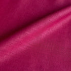 In Prespalat Fuchsia
