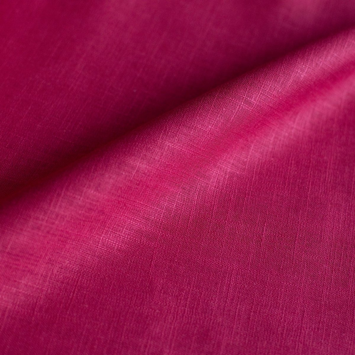 In Prespalat Fuchsia - Lametru.ro - In Prespalat